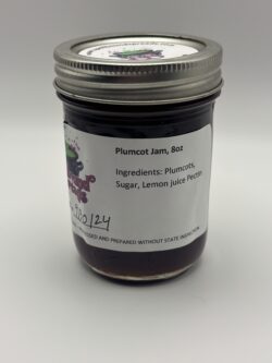 Plumcot Jam